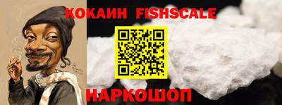 индика Камышлов