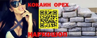 индика Камышлов