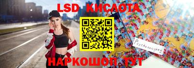 индика Камышлов