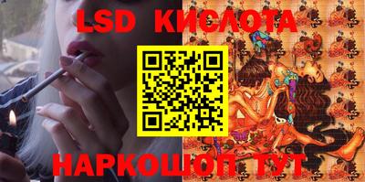 индика Камышлов