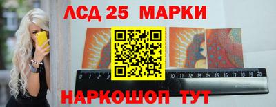 индика Камышлов