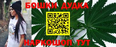 индика Камышлов