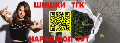 индика Камышлов