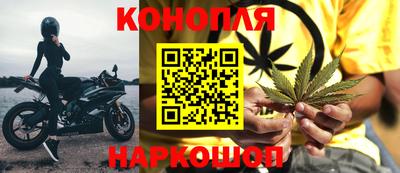 индика Камышлов
