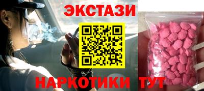 индика Камышлов