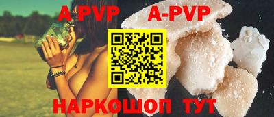 индика Камышлов