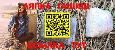 индика Камышлов